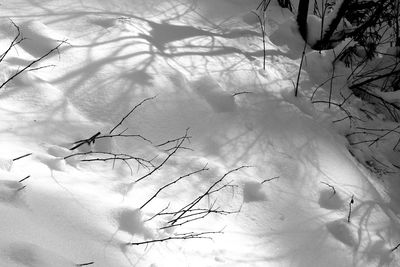 Snow covered landscape