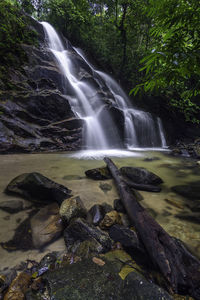 View of waterfall in forest