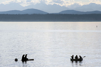 Silhouetted sea lions and young people in a row boat out on puget sound near seattle, posing 