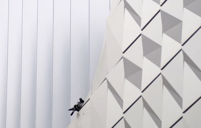 Low angle view of birds flying in building