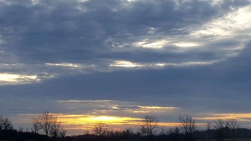 Low angle view of silhouette trees against sky