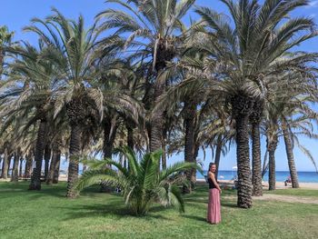 Low angle view of palm trees on field against sky