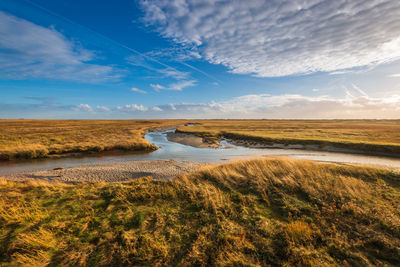 Scenic view of land against sky