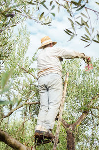 Rear view of person with arms raised