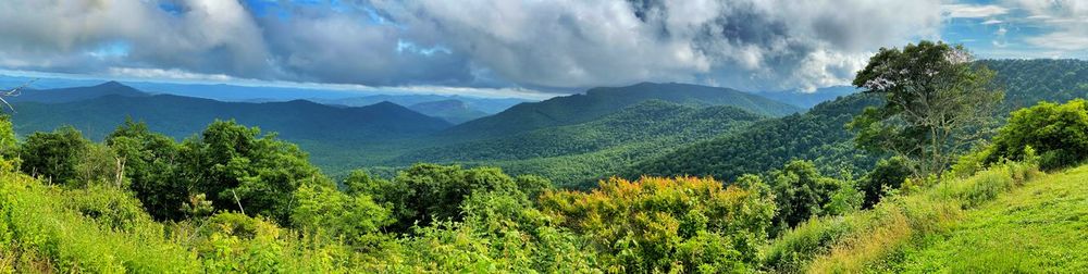 Panoramic view of trees and mountains against sky