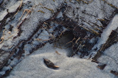High angle view of crab on sand