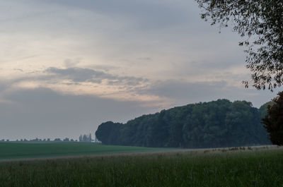 Scenic view of field against sky