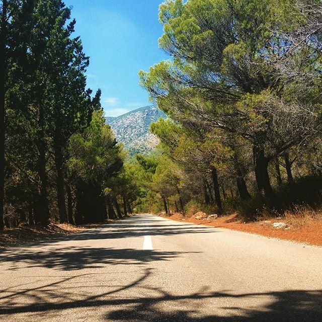 the way forward, tree, road, transportation, diminishing perspective, vanishing point, tranquility, country road, road marking, tranquil scene, empty road, sunlight, nature, clear sky, empty, sky, asphalt, beauty in nature, growth, blue