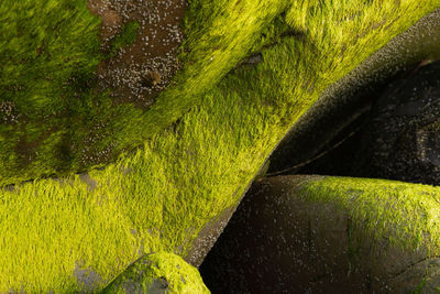 Low section of man standing on rock