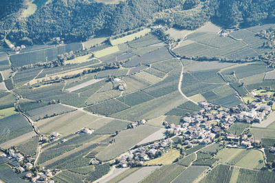 High angle view of agricultural field