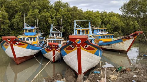 Boats moored on shore against trees