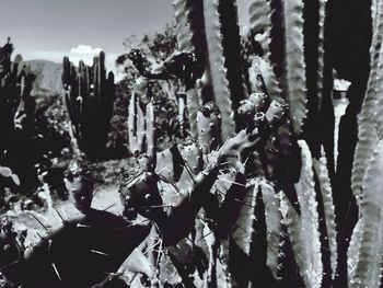 Group of people in the forest