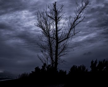 Low angle view of bare tree against cloudy sky