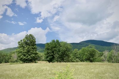 Mountains,field and trees