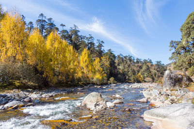 Scenic view of rocks by river against sky