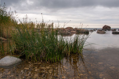 Scenic view of lake against sky