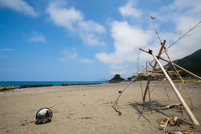 View of horse on beach against sky