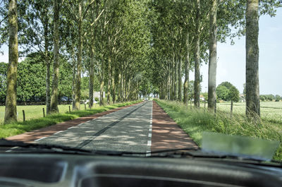 Road amidst trees seen through car windshield