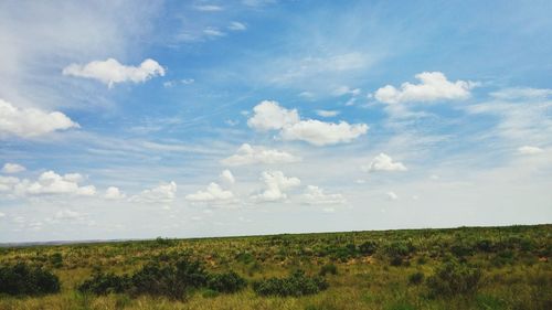 Scenic view of field against sky