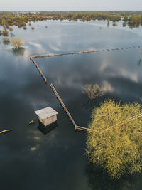 High angle view of plants floating on lake