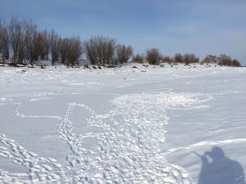 Scenic view of snow covered field against sky