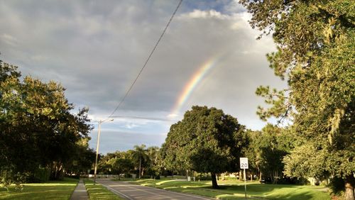 Panoramic view of trees against sky