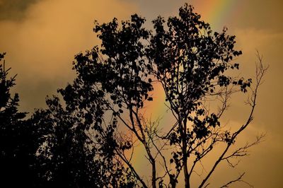 Low angle view of silhouette tree against sky at sunset