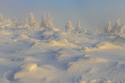 Aerial view of snow covered landscape