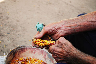 Close-up of man holding corn 