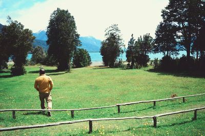 Rear view of man walking in park