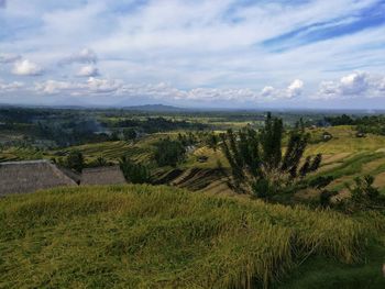 Scenic view of landscape against sky