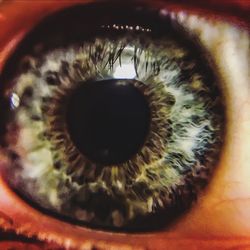 Extreme close up of human eye