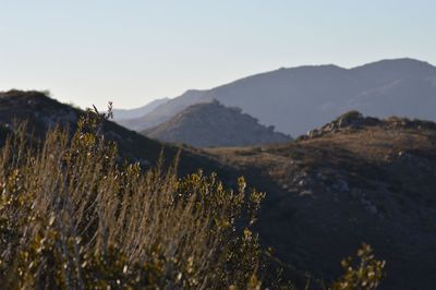 View of countryside landscape against mountain range