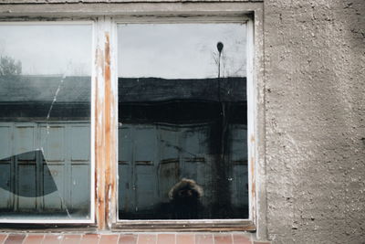 Reflection of window on glass wall