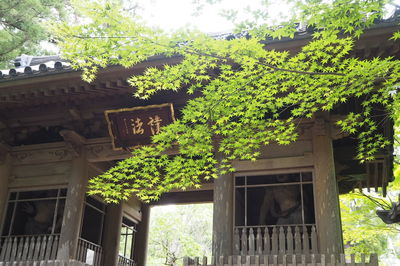 Low angle view of built structure against trees