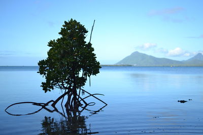 Scenic view of calm lake