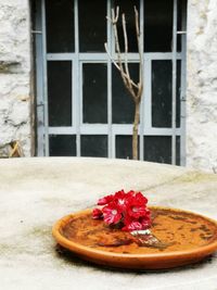 Close-up of red flower on window