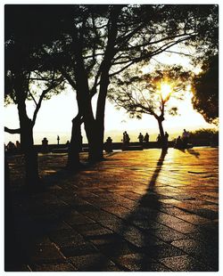 Silhouette trees in park against sky during sunset