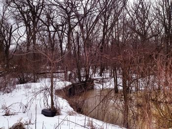 Bare trees on snow covered landscape