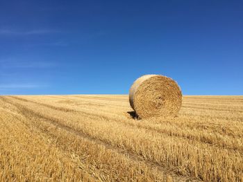 Bale of hay in field in front of clear blue sky