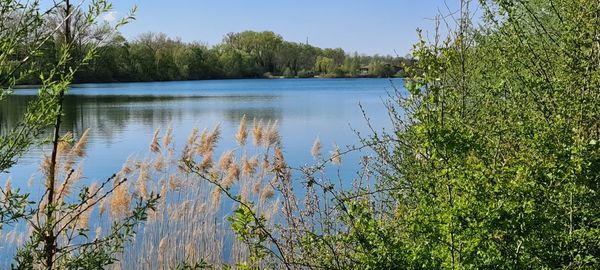 Scenic view of lake against sky