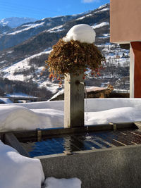 Snow covered tree by mountain against sky