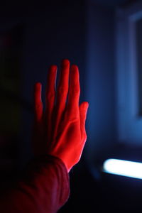 Close-up of hand holding illuminated flower