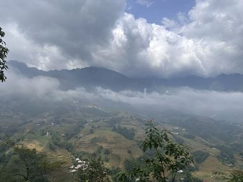 environment