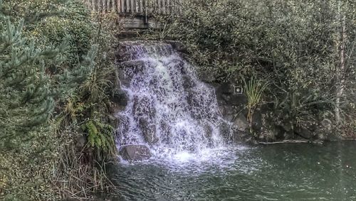 Scenic view of waterfall