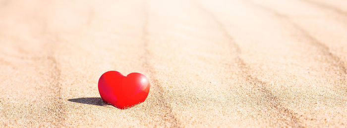 Close-up of heart shape made on red leaf