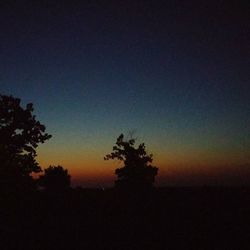 Silhouette of trees at sunset