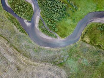 High angle view of plants on land