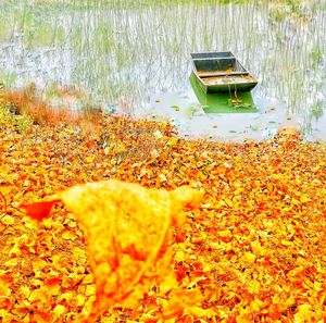 Scenic view of lake