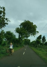 Road passing through trees